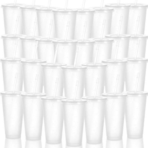 Pafeooui 30 Pack Tumblers with Lid and Straw Reusable Plastic Clear Cups Bulk Water Bottles 24 Ounces Cups Travel Mug Cup for Iced Coffee Cold or Hot Drink Juices Birthdays Party Outdoor Use - Image 1