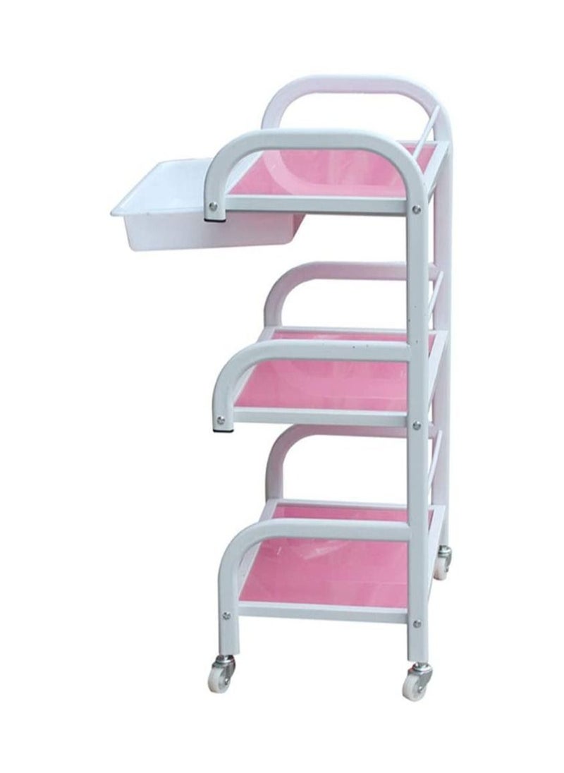 Spa Salon Beauty Waxing Trolley - pzsku/Z8AC4920876D70C0D649FZ/45/_/1671803033/8bdd1e8d-8cf9-4ce5-b8dd-e53a27cbdf9b