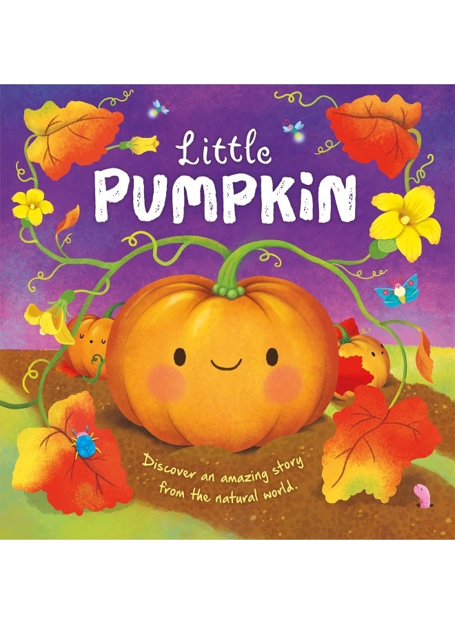 Little Pumpkin  - Image 1