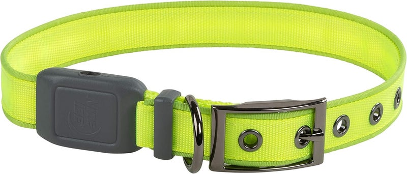 Nite Ize NiteDog Rechargeable LED Dog Collar, Large, Lime - Image 2