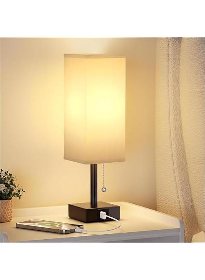 هوكور SupWolf Gray Small Bedroom Lamp - 3 Color Temperature 2700K 5000K 3500K Bedside Lamp, Pull Chain Control, USB A and C Charging Ports, Black Base, for Kids Office Dorm, Bulb Included - Image 2