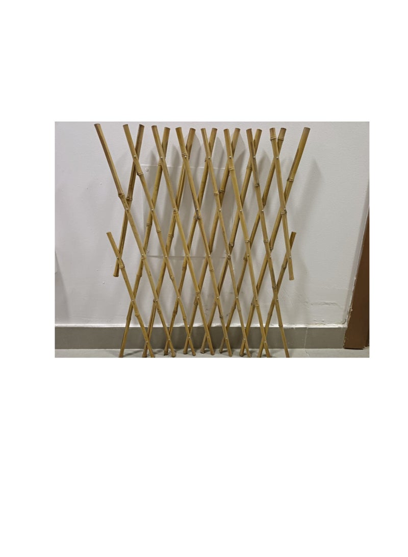 Generic Expandable Bamboo Trellis for Garden Fence or Wall for Plants Outdoor for Climbing Plants Support 80cm height  - Image 2