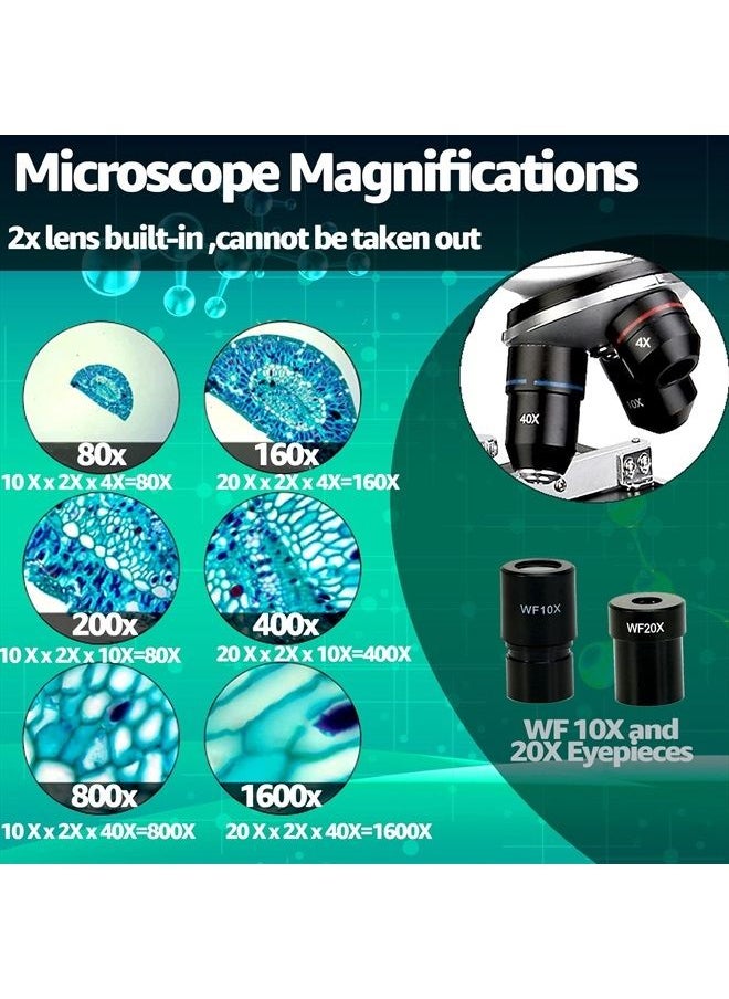 SVBONY SV605 Compound Binocular Microscope 80X-1600X,Two-Layer Mechanical Stage Microscope, Microscope for Adults Teens Students, Microscopes with Science Kits, Dual LED Illumination  - Image 2