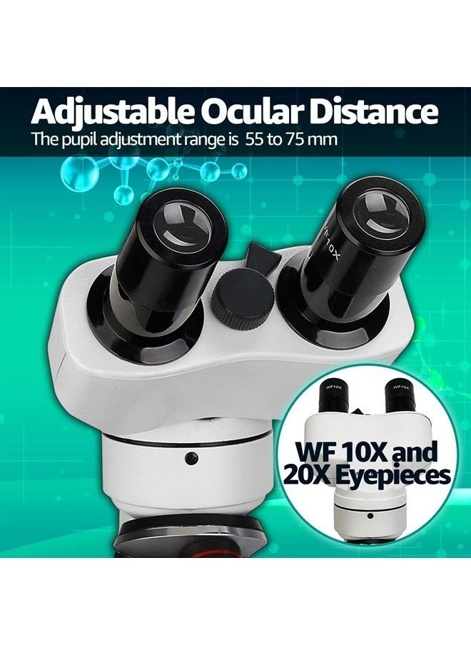 SVBONY SV605 Compound Binocular Microscope 80X-1600X,Two-Layer Mechanical Stage Microscope, Microscope for Adults Teens Students, Microscopes with Science Kits, Dual LED Illumination  - Image 4