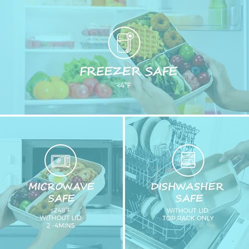 MISS BIG Bento Box for Kids,Leak Proof,Mom’s Choice Kids Lunch Box, No BPAs and No Chemical Dyes,Microwave and Dishwasher Safe Lunch Containers(White) - Image 5