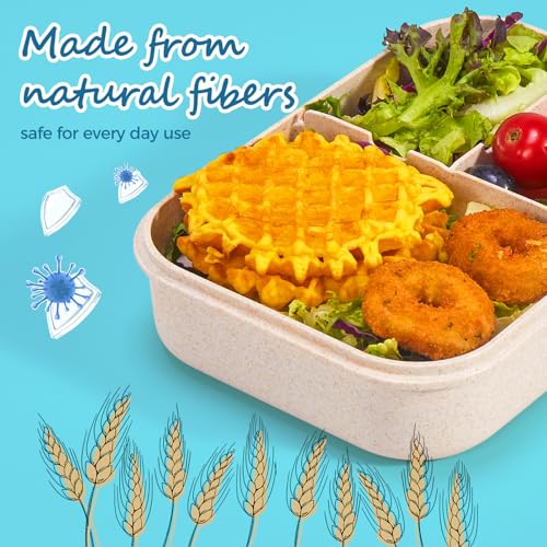 MISS BIG Bento Box for Kids,Leak Proof,Mom’s Choice Kids Lunch Box, No BPAs and No Chemical Dyes,Microwave and Dishwasher Safe Lunch Containers(White) - Image 4