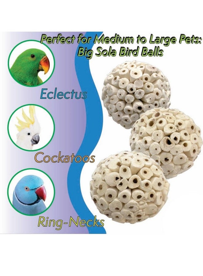 JOYNAGAR Natural Sola Wood Atta Ball Birds Foraging Toys for Cockatiels, Parrots, Budgies, Conures | 6 cm | Pack of 10 Pcs (Standard) - Image 4
