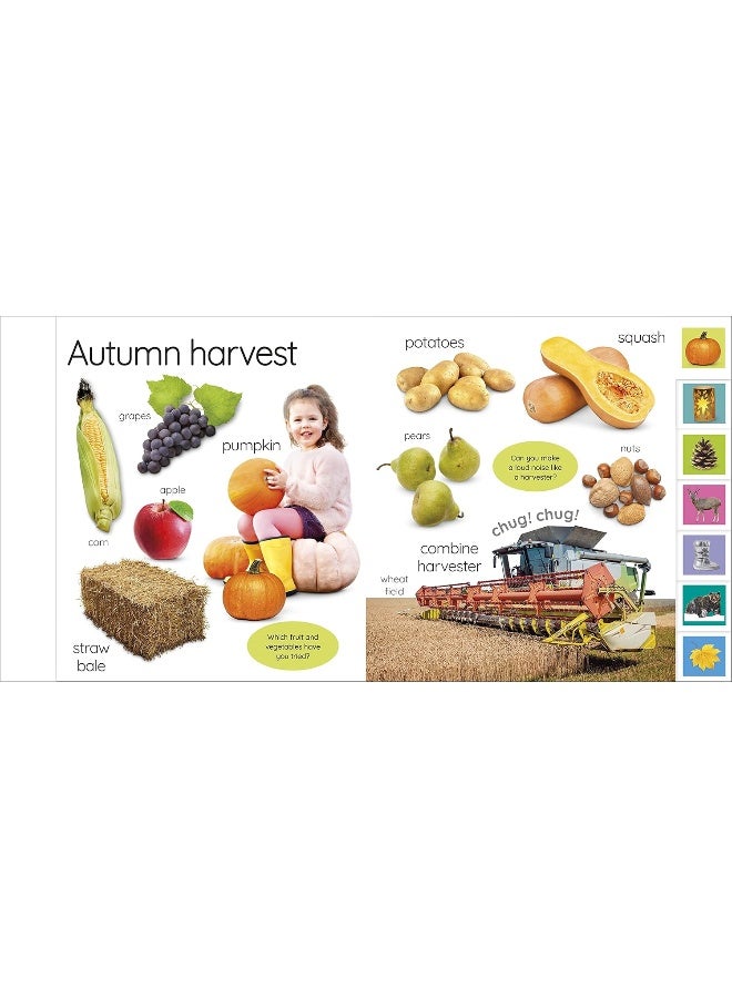 DK My First Seasons: Let's Learn About the Year! - Image 5