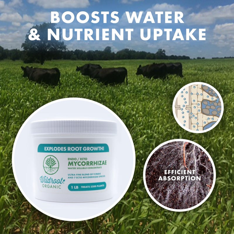 Wildroot Organic مُعَزِّز الميكورزا 16 نوع (5 أونصات) يُحسِّن من تحمل الجفاف + يُوفر المياه الثمينة + سماد، مُحفِّز الجذور • يُعزِّز نمو الجذور [5 أونصات تعالج 6,000 نبتة (4 بوصات)] - Image 4