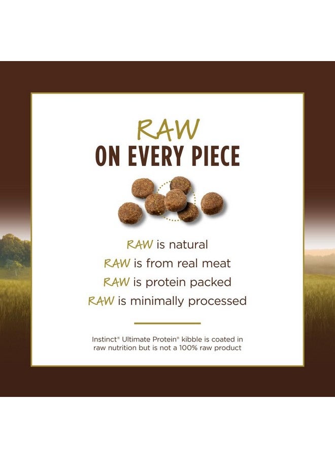غريزة طعام القطط الجاف الطبيعي Instinct Ultimate Protein Grain Free Cage Free Chicken Recipe، كيس 10 رطل - Image 5
