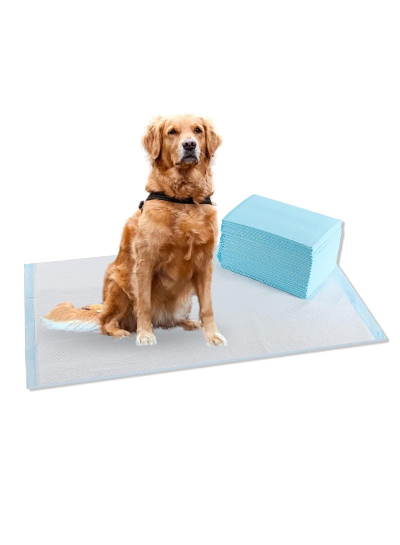 TYCOM Dog and Puppy Training Pads 20 Pack Disposable Dog Pee Pads Ultra Absorbent and Leak Proof Pet Underpads Dry Quickly Pee Pad for Dog Cats Rabbits or Other House Training Pets 60 By 90 CM. - Image 1