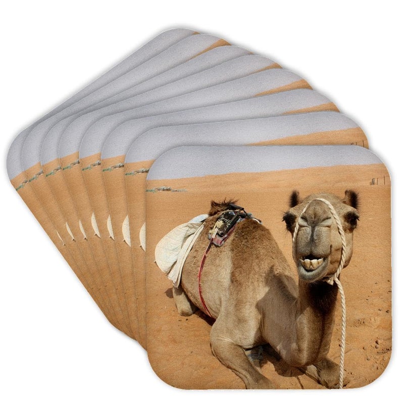 3dRose CST_164767_2 Smiling Camel Resting at Bedouin Camp in Oman Photo by Rhonda Albom Soft Coasters Set of 8