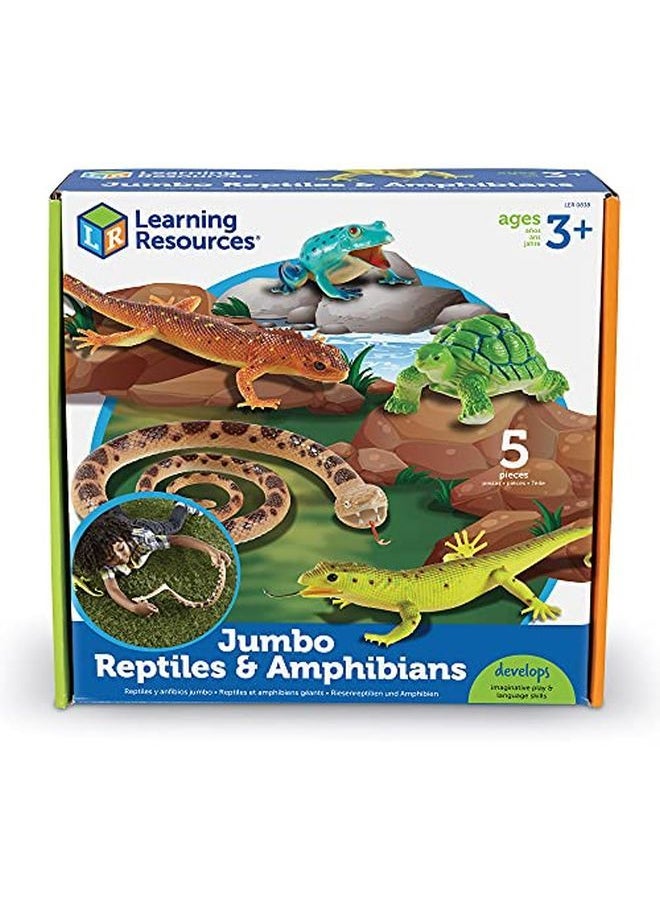 Learning Resources Jumbo Reptiles & Amphibians Tortoise Gecko Snake Iguana And Tree Frog 5 Animals Ages 3+  - Image 1