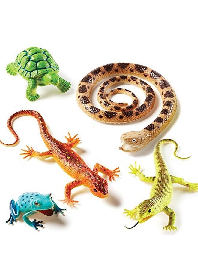 Learning Resources Jumbo Reptiles & Amphibians Tortoise Gecko Snake Iguana And Tree Frog 5 Animals Ages 3+  - Image 3
