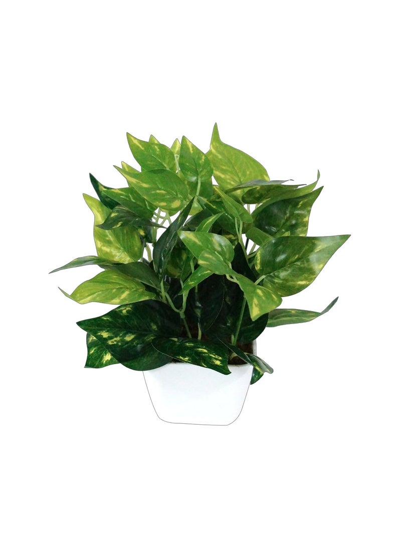 Pindia Pindia Miniature Money Plant Green Leaf Artificial IndoorOutdoor Plant Decorative Plant for Home Office Garden Dcor with Pot Size 9 inchs 23 cms  - Image 1