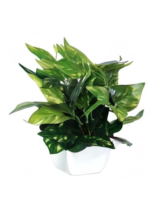 Pindia Pindia Miniature Money Plant Green Leaf Artificial IndoorOutdoor Plant Decorative Plant for Home Office Garden Dcor with Pot Size 9 inchs 23 cms  - Image 3