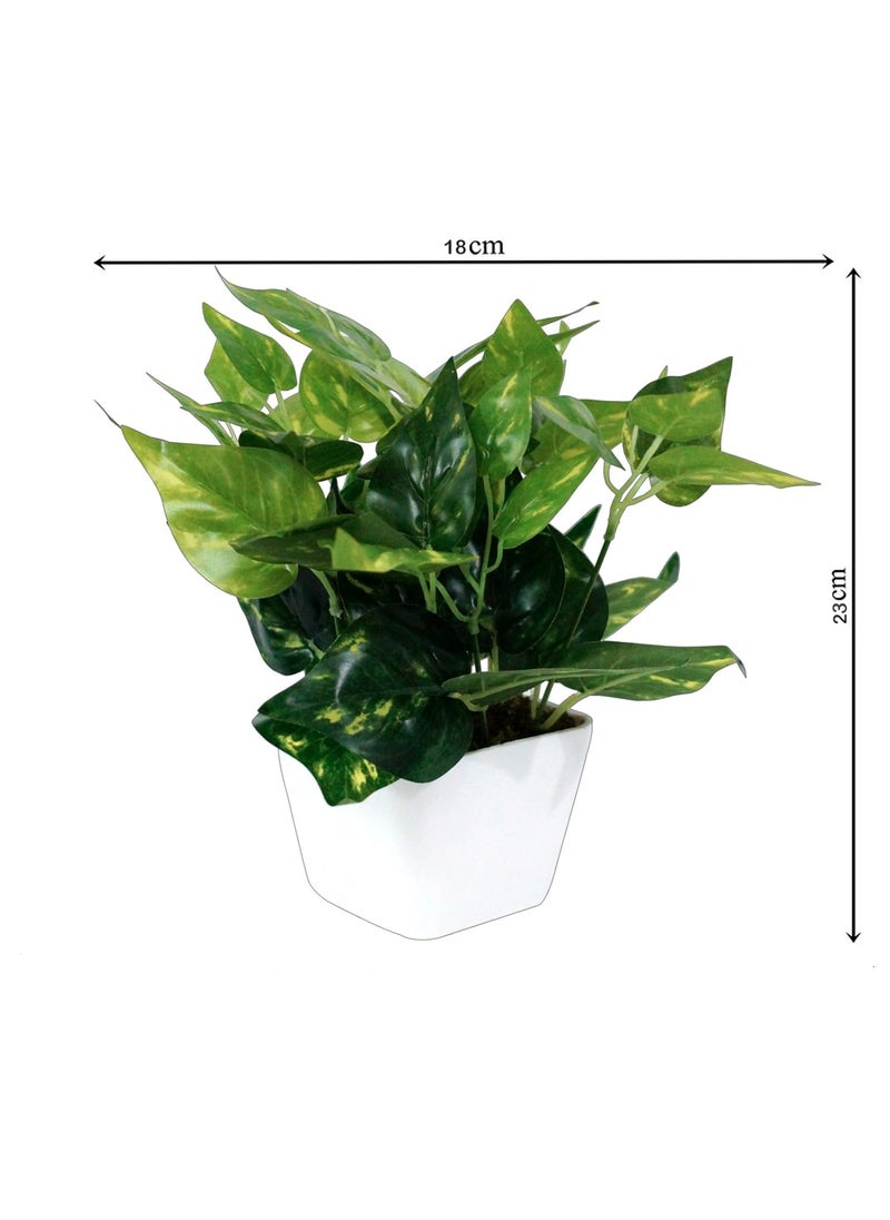 Pindia Pindia Miniature Money Plant Green Leaf Artificial IndoorOutdoor Plant Decorative Plant for Home Office Garden Dcor with Pot Size 9 inchs 23 cms  - Image 2