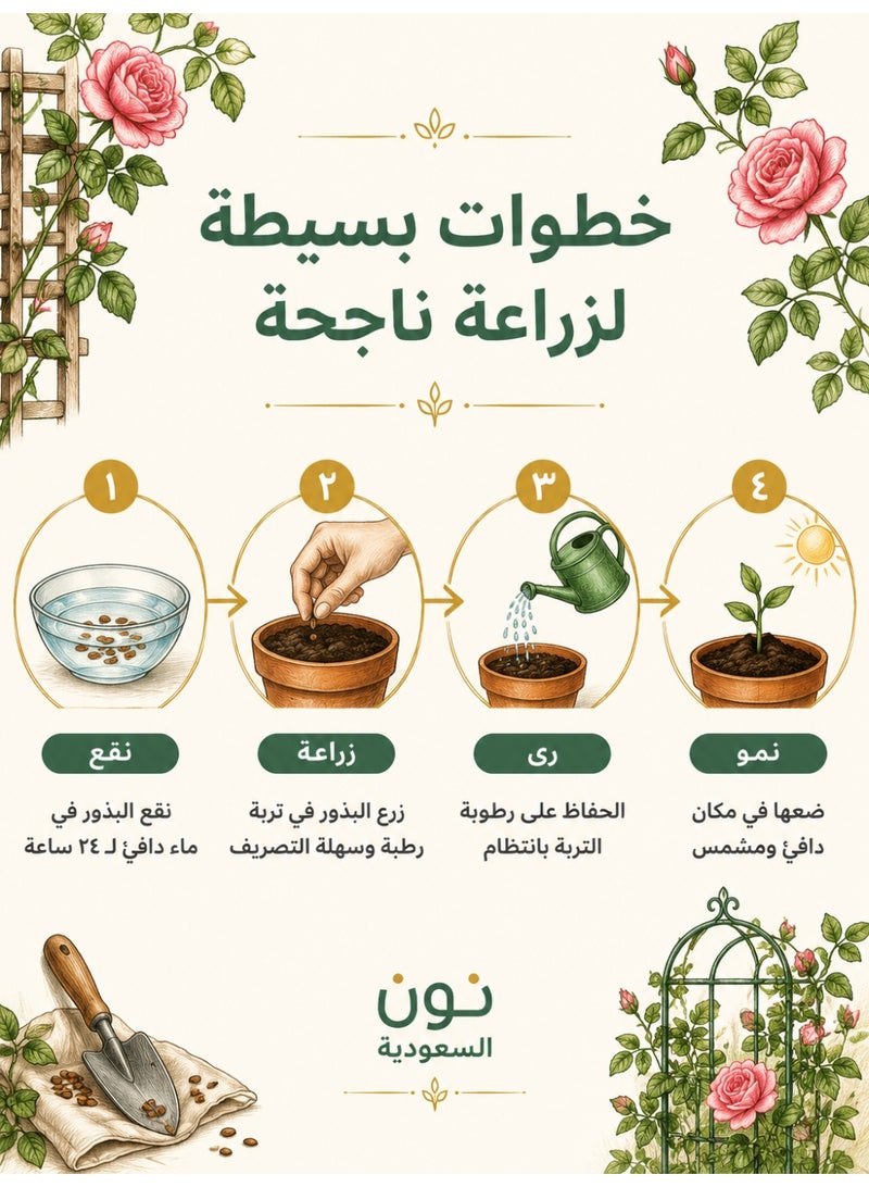 بذور ورد متسلق متعدد الألوان، يزهر طوال العام، نبات كروم سريع النمو عطري، مثالي لتزيين الحدائق الخارجية، 200 بذرة لكل عبوة وإجمالي عبوتان - Image 5