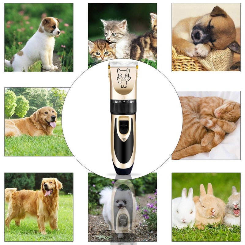 SETON Unisex Pet Clippers Set for Dogs and Cats, Low Noise Electric Trimmer with LED Light, Rechargeable and Stainless Steel Blades - Image 5