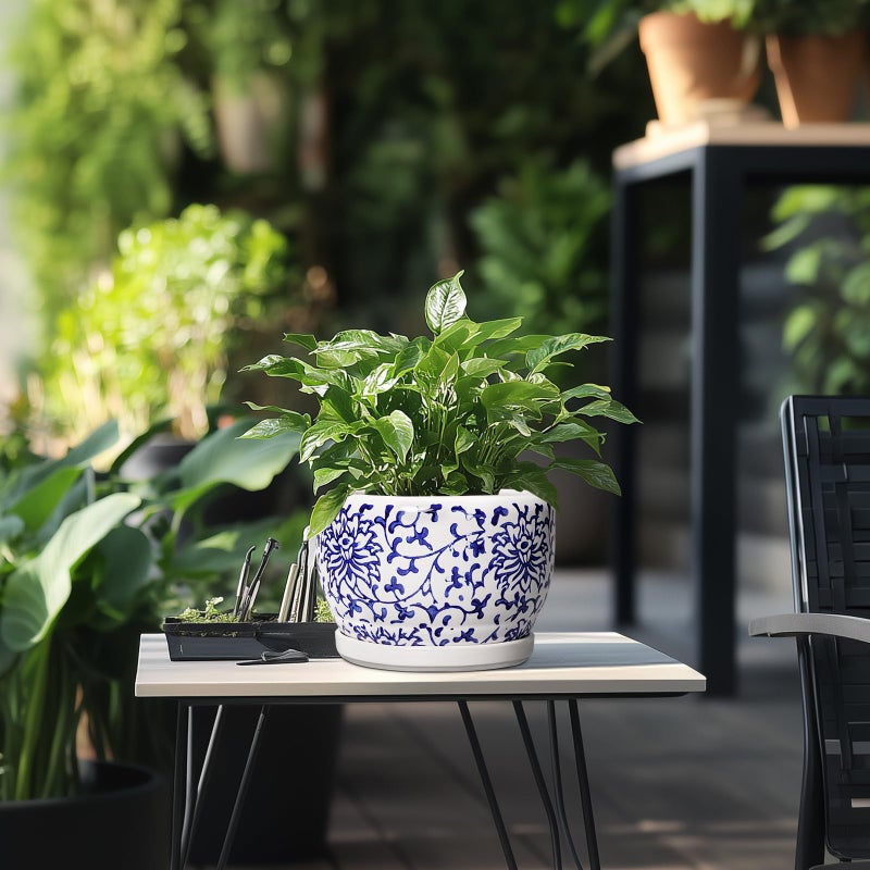 SQOWL Ceramic Pots for Plants - 8 inch Ceramic Planter with Drainage Hole and Saucer, Round Flower Pots for Indoor Plants, Porcelain Planter Outdoor, Porch Decor, Gifts for Women Men, Blue and White - Image 5