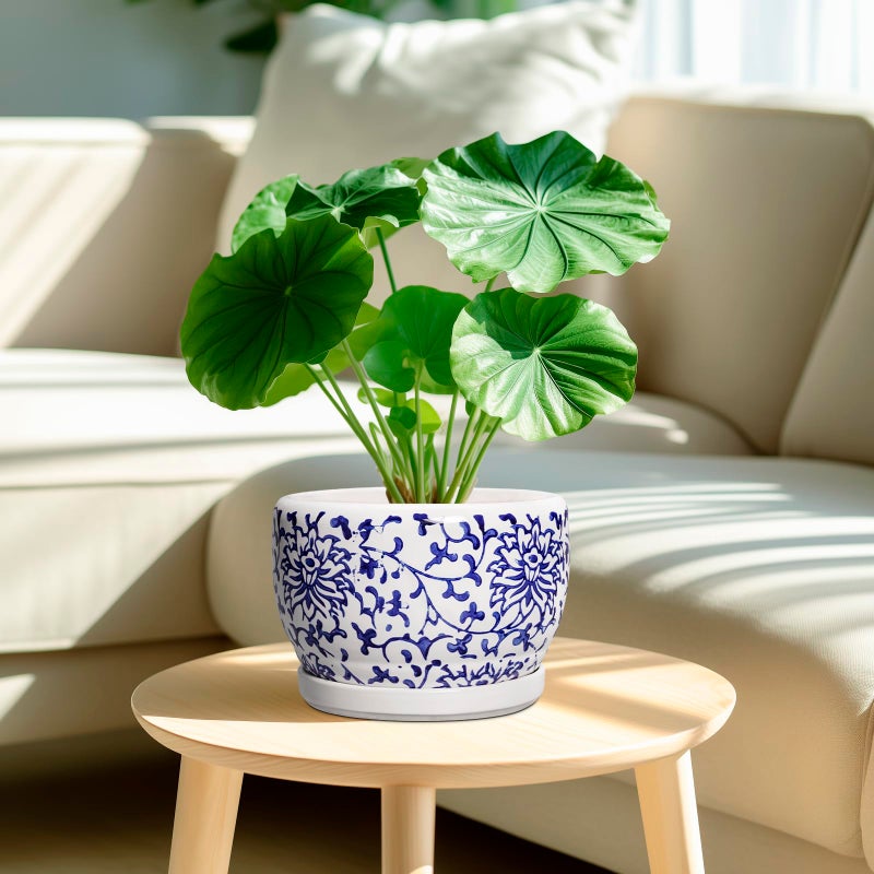 SQOWL Ceramic Pots for Plants - 8 inch Ceramic Planter with Drainage Hole and Saucer, Round Flower Pots for Indoor Plants, Porcelain Planter Outdoor, Porch Decor, Gifts for Women Men, Blue and White - Image 2