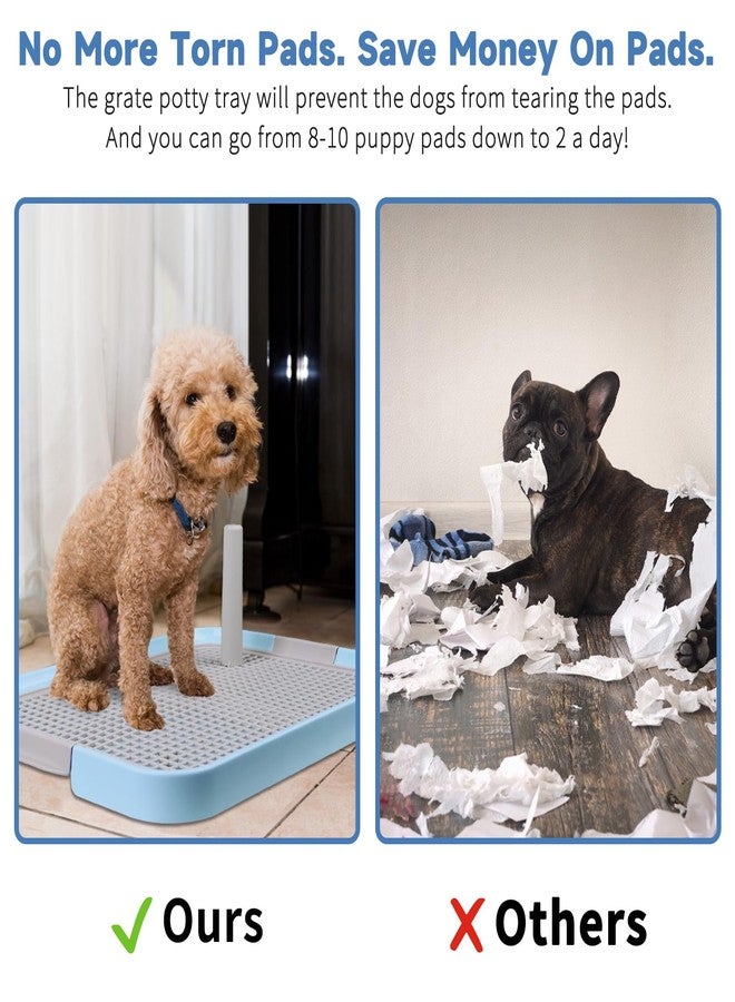 CUHIOY Dog Potty Tray Toilet 20"x14" - Indoor Pee Pad Holder with 8pcs Training Pads, Puppy Mesh Potty with Secure Latch for Small Medium Puppies - Blue - Image 2