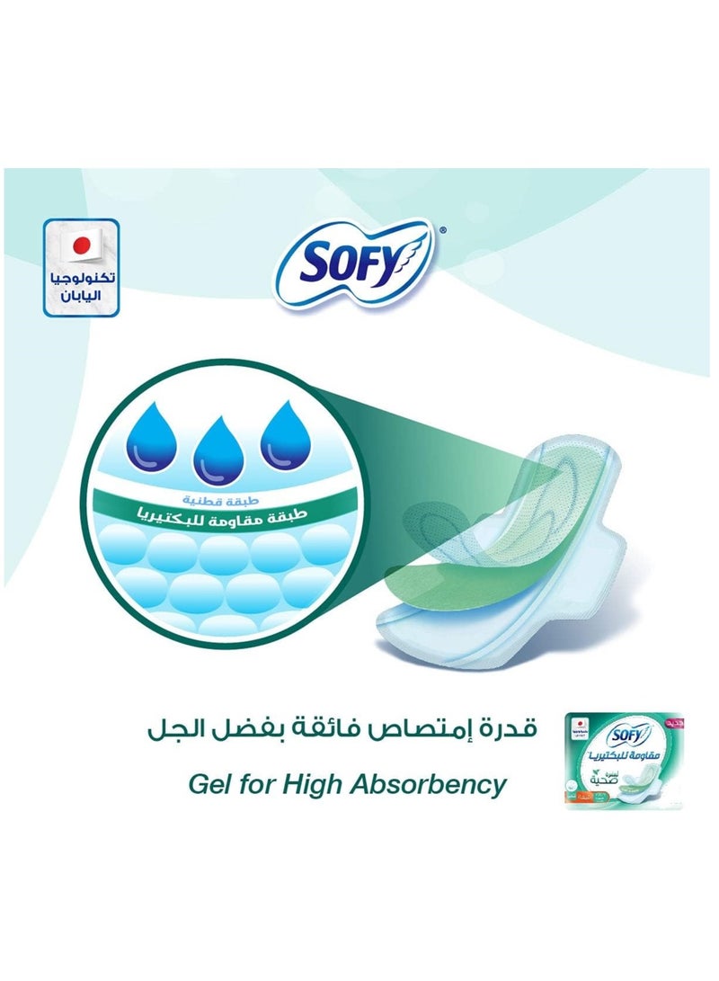 صوفي فوط صحية مضادة للبكتيريا بالمسك رفيعة كبيرة 10 قطع - Image 2