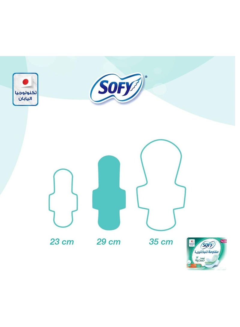 صوفي فوط صحية مضادة للبكتيريا بالمسك رفيعة كبيرة 10 قطع - Image 4