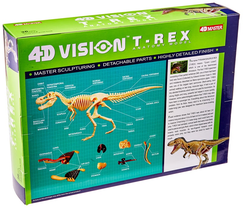 4D Master Famemaster 4D Vision TRex Anatomy Model - Image 3
