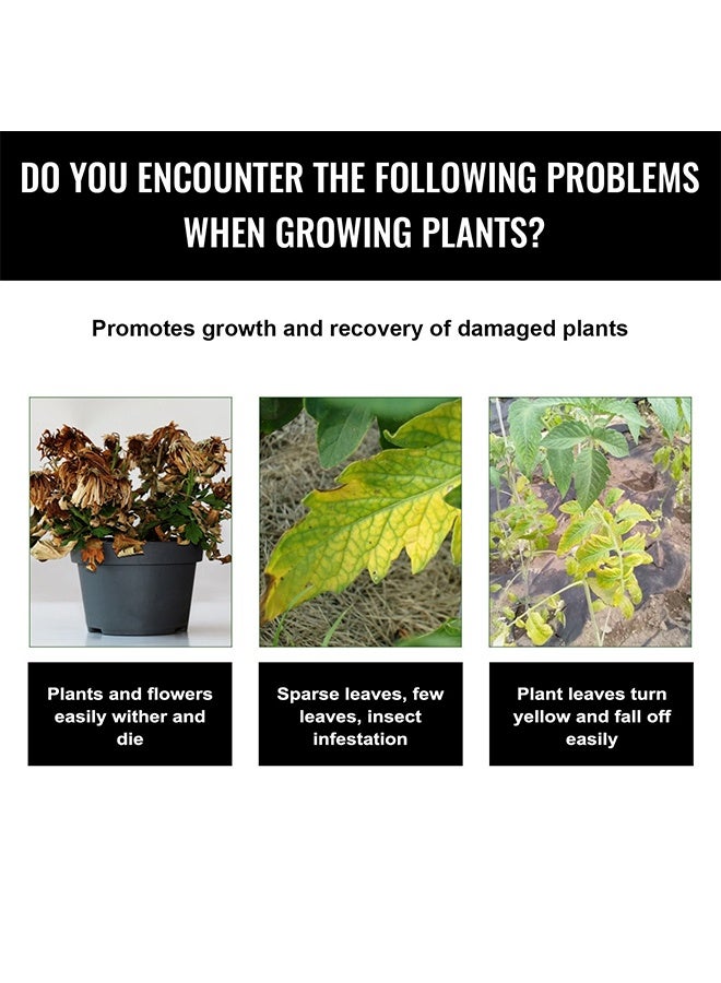 MOONSPRY Resurrection Liquid,Plant Activation Liquid Solution – Plant Resurrection & Growth Enhancer, Liquid Fertilizer for Seedlings, Rooting Hormones for Cuttings, Plant Growth Supplement 50ml - Image 2