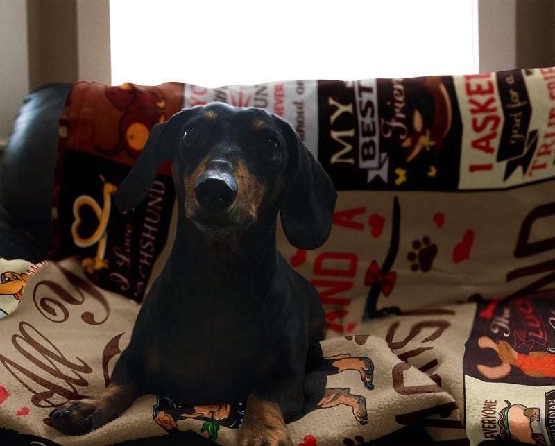 Butonus Dachshund Weiner Dog Gifts for Women Men Adults Kids, Dachshund Lover Gift Blanket 60”x50” - Image 3