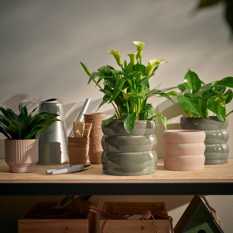 Baitique Plant Pot, Stoneware, Green-Brown, In/Outdoor, 15 cm - Image 2