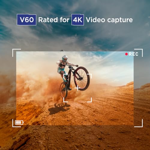 Integral 256GB UHS-II SD Card V60 Up to 300MBs Read and 200MBs Write Speed 1733X SDXC Professional High Speed Memory Card - Image 5
