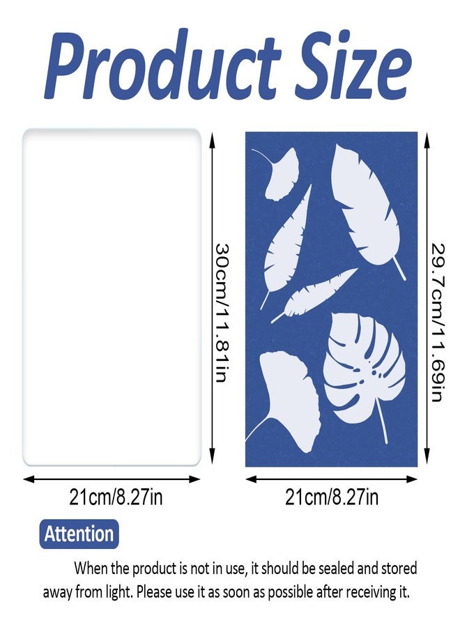 Modixun 16 Sheets A4 Sun Print Paper Cyanotype Paper + 1 Sheet Acrylic Panel, Thick Solar Drawing Paper, High Sensitivity Sun Print Nature Printing Paper, 8.3×11.7in - Image 3