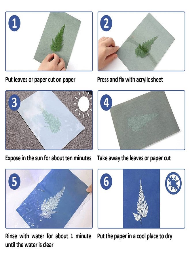 Modixun 16 Sheets A4 Sun Print Paper Cyanotype Paper + 1 Sheet Acrylic Panel, Thick Solar Drawing Paper, High Sensitivity Sun Print Nature Printing Paper, 8.3×11.7in - Image 5