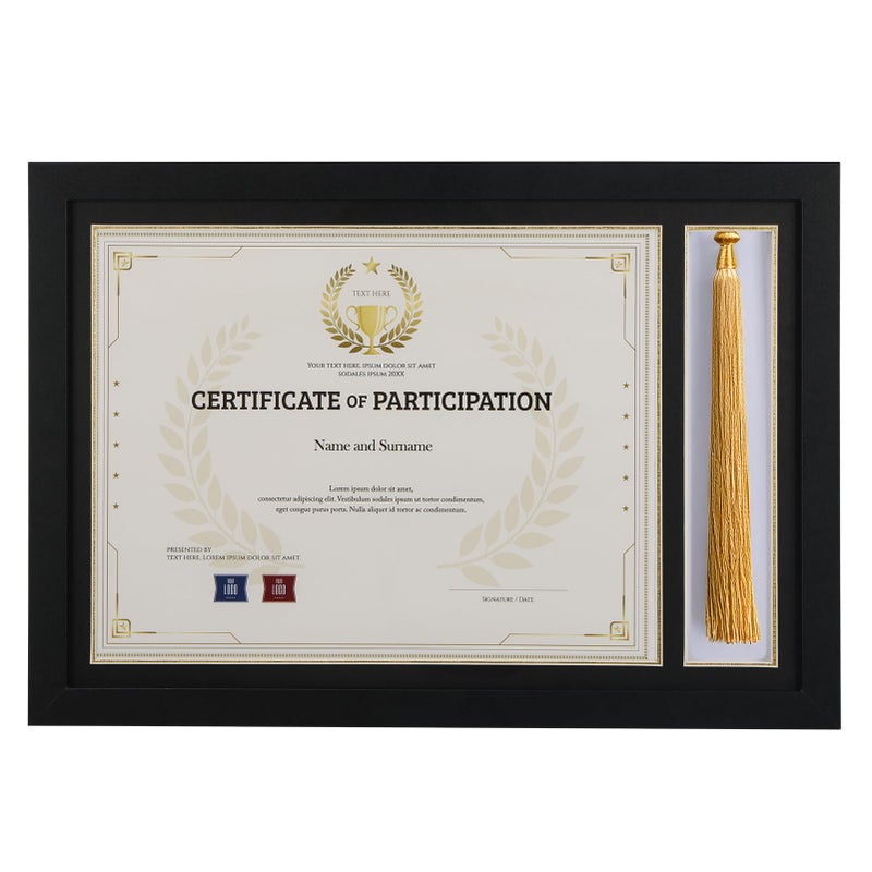 Lavezee 15.2x10.6 Diploma Frame With Tassel Holder, Display 8.5 x 11 Certificate Document Degree and One Tassel,Black with Gold Rim - Image 1