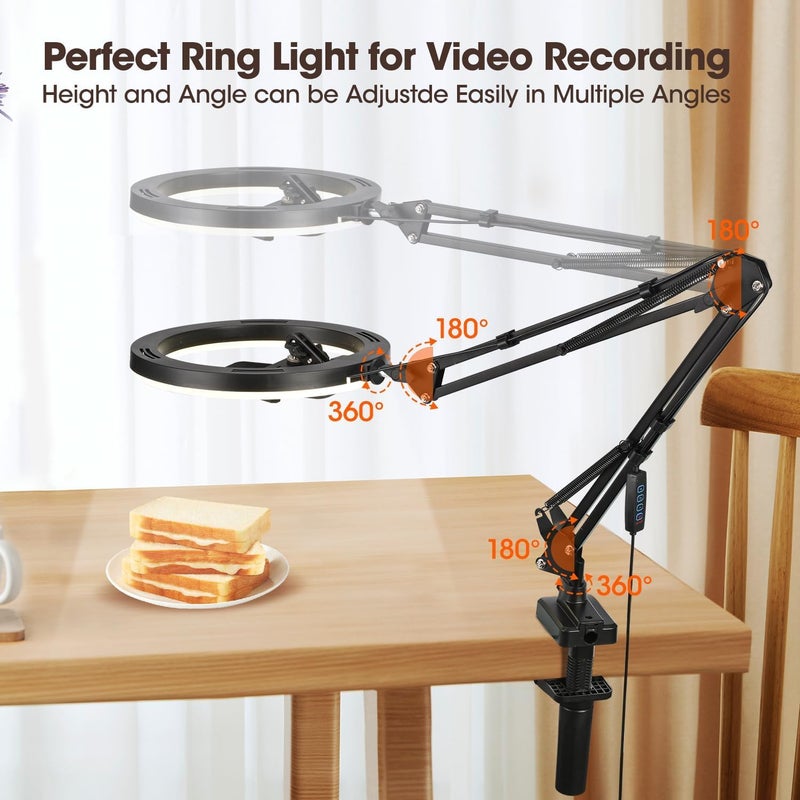 Sounce Video Mobile Stand with 10-Inch Ring Light Metal Arm with 1/4" Ball Head Overhead Desktop Stand for Camera, Mobile, GoPro Ideal for Bedroom Recording & Content Creation (10" with Ring Light) - Image 2