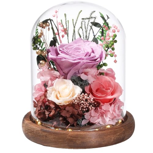 LOVENFOLD Flowers for Delivery Preserved Flowers lilac Roses with LED Light in a Glass Dome,Long Lasting Forever Flowers Birthday Gifts for Women Daughter Mom Wife Friend（lilac Rose） - Image 1