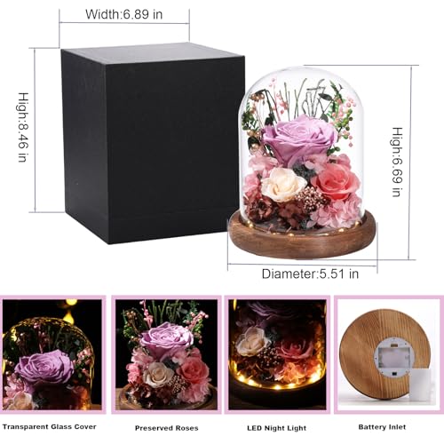 LOVENFOLD Flowers for Delivery Preserved Flowers lilac Roses with LED Light in a Glass Dome,Long Lasting Forever Flowers Birthday Gifts for Women Daughter Mom Wife Friend（lilac Rose） - Image 2
