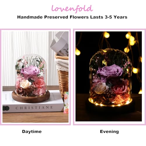 LOVENFOLD Flowers for Delivery Preserved Flowers lilac Roses with LED Light in a Glass Dome,Long Lasting Forever Flowers Birthday Gifts for Women Daughter Mom Wife Friend（lilac Rose） - Image 3