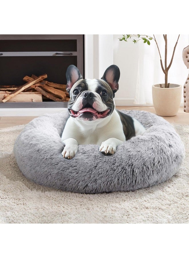 جولي فوغ سرير جولي فوغ المهدئ للكلاب والقطط الصغيرة، مضاد للقلق، سرير دائري ناعم مريح مع قاعدة مضادة للانزلاق، وسائد من الفرو الصناعي الناعم للكلاب الصغيرة والمتوسطة (20 بوصة) - Image 1