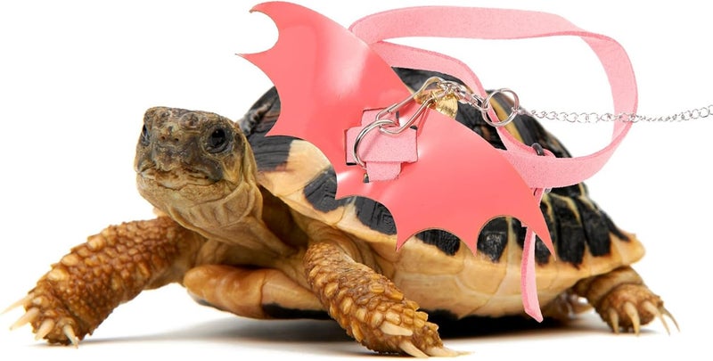 Nationwide delivery VICASKY Tortoise Hauling Rope Harness Small Size Soft Vest Strap Outdoor Control Leash for Pet Turtles with Wings Pink for Medium and Small Tortoises Precision processed material Multiple local stock source Multi-use well-engineered build Foldable Dense material General compatible practical design Wet anti slip Multi-purpose fine material Light & sturdy Budget friendly sizing alternatives Easy store & transit build Surface safe All usage compatible Updated modern design All-scene compatible build Globally trusted quality Advanced minimal build Simple multi-feature universal build Storage & transit friendly Stackable design Strong durable raw material Ventilated design All-item unified delivery Nationwide warehouse layout - Image 3