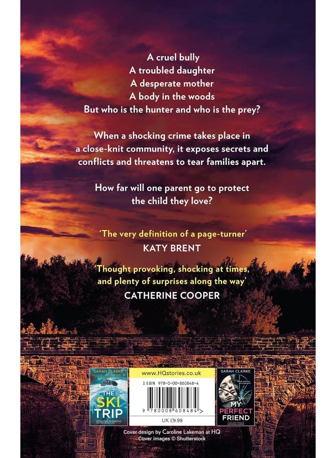 The Night She Dies: The gripping new psychological thriller with secrets and suspense for 2024 perfect for fans of Lisa Jewell and Andrea Mara - Image 2