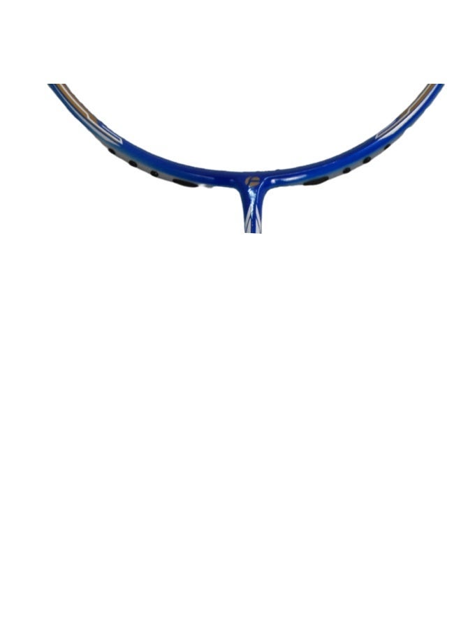 FLEX PRO Sword craze | Square Head Nano Technology Series | Double Side Finish Blue-Silver | 1 Racquet and 1 Bag - Image 4