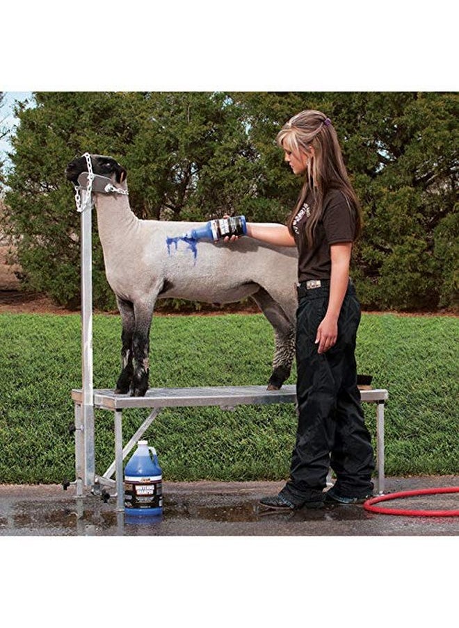 Weaver Leather - Weaver Leather Livestock Whitening Shampoo - Image 1