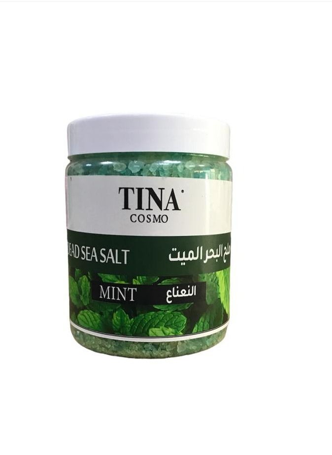Tina Cosmo - tina cosmo dead sea salt mint - Image 1