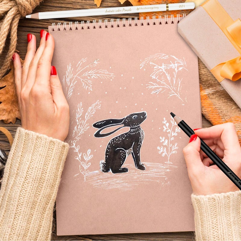 Heshengping 6 Black 6 White oil color pencils coloring drawing pencil oil-based wooden colored pencils for artists beginners artists, 12 pack - Image 2