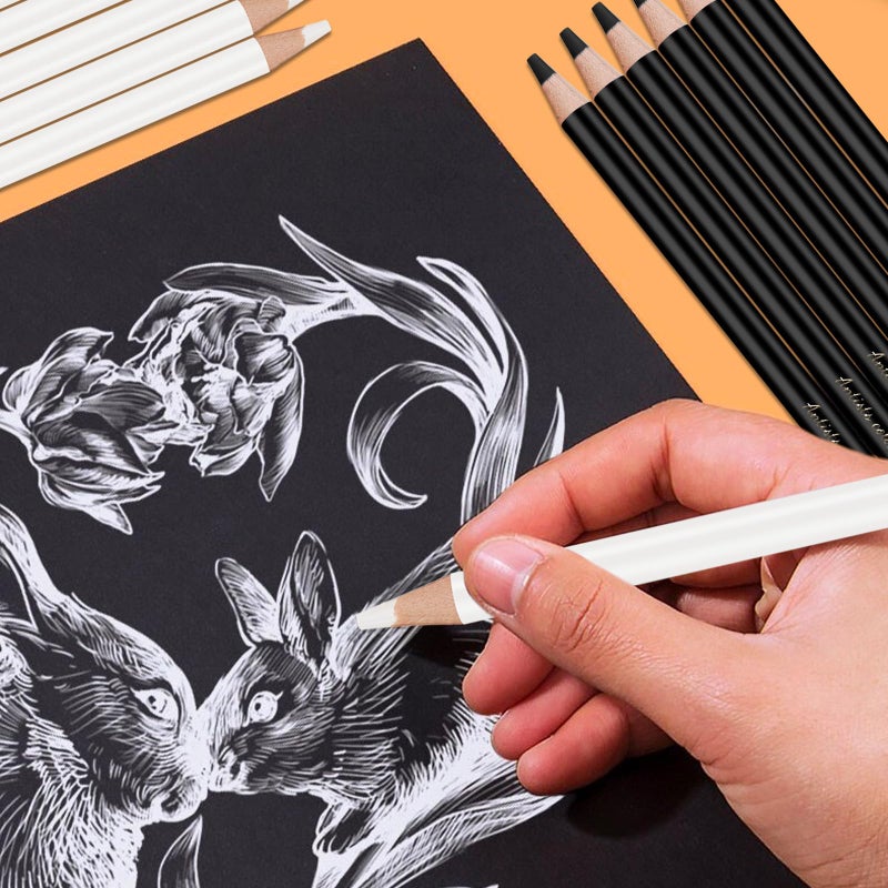 Heshengping 6 Black 6 White oil color pencils coloring drawing pencil oil-based wooden colored pencils for artists beginners artists, 12 pack - Image 3