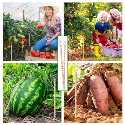 Doksving 10 قطع دعامات نباتية كهربائية، 13.5 بوصة / 17 بوصة متاحة، هوائيات سلك نحاسي، دعامات حديقة، مجموعة حلقات تنسور، قضبان نحاسية للزراعة الإلكترونية لدعم نباتات حديقة الخضروات - Image 5