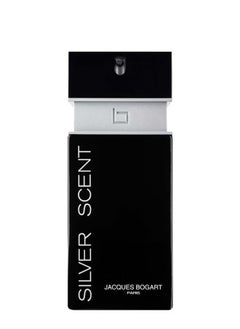 Silver Scent EDT 100ml - pzsku/Z8AE0D9A366B9511502F1Z/45/_/1739182485/7560cf25-7aab-4d17-b771-c375442acf03